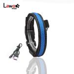 Customized LED Dog Collar Waterproof Luminous Colour Blue USB Rechargeable