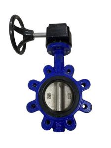 China Industrial Ductile Iron Butterfly Valve Gear Operated DIN3202 factory