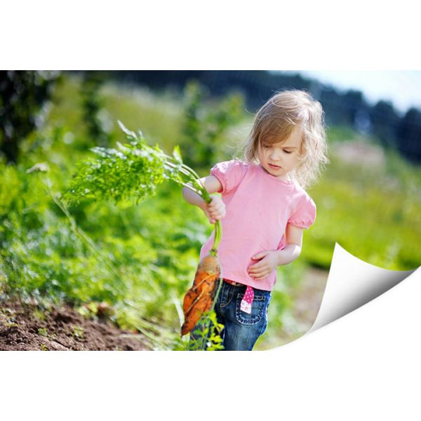 115GSM 120GSM Gloss Art Paper For High Speed Inkjet Printing 13 * 19inch