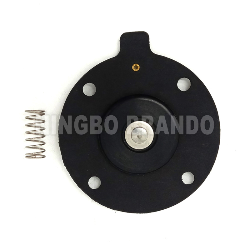 C113684 Diaphragm