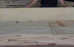 Walnut Burl Wood Veneer