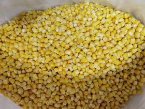 China Iqf 24 Months Frozen Sweet Corn Kernels factory