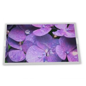 M238HAN03.2 Panel 23.8 Inch 1920*1080 A-Si TFT-LCD Quality Lcd Module Display