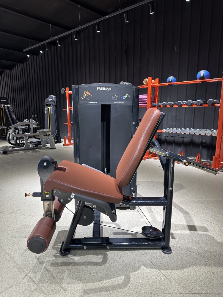 Custom Commercial Leg Exercise Equipment Pin Loaded And Plate Loaded Fitness