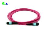 MPO Trunk Cable OM4 24F 3.0mm 50 / 125μm MPO Female MPO Patch Cable LSZH Violet