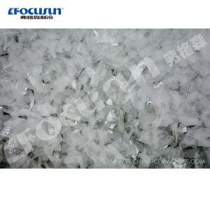 8000 KG Flake Ice Machine with Other Ice Storage Capacity and Customizable