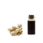 Cas 8007 08 7 Pure Organic natural Ginger Essential Oil For Massage