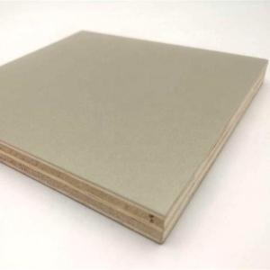 China CARB Lightweight Plywood For Campervans factory