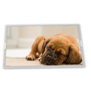 China G150XVN01.1 15 Inch 1024*768 30 Pins LVDS WLED Brightness 300nits TFT Lcd Modules with Lcd Controller Board on sale