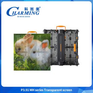 Full color 3D P3.91MH Series Transparent Screen Ultra-thin Waterproof led wall