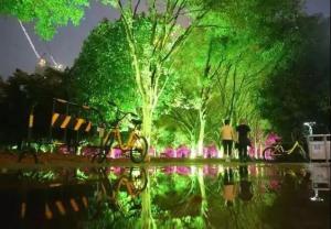 China DMX512 RGBW 36W Tree LED Flood Light LED Garden Lamp For Landscape Projection factory