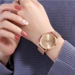 Waterproof Sunray DIAL Ladies Quartz Watches BSCI