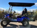 48v 4 Seater Motorized Golf Cart Fastest 25 MPH