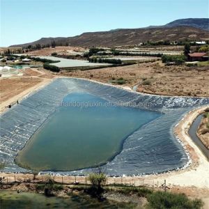 50m-100m Length HDPE Geomembrane for Fish Farming Tanks Glossy and Durable