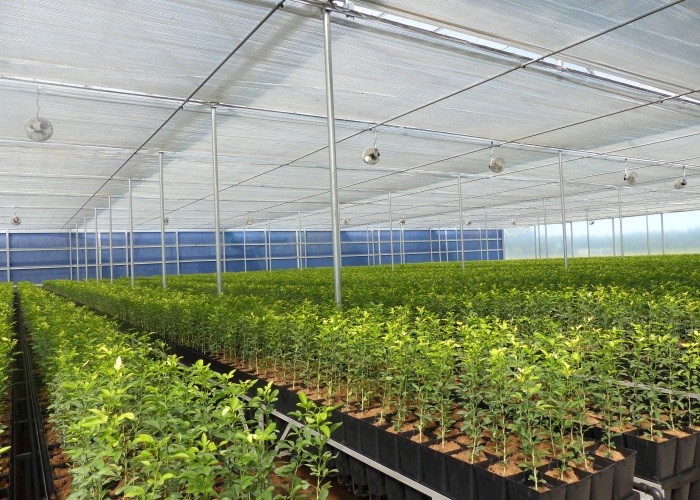 4.3m 55% Shading Rate Aluminum Foil Shade Net Shade Screen Shadow Cloth For Inner Shading System