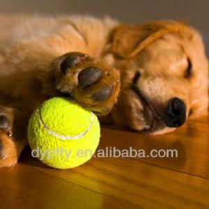 China variety of colors tennis ball factory