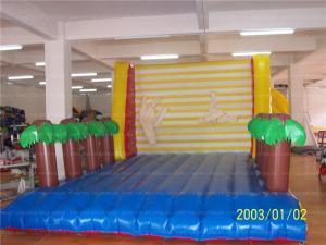 China Tropical Inflatable Velcro Wall (CYSP-655) factory