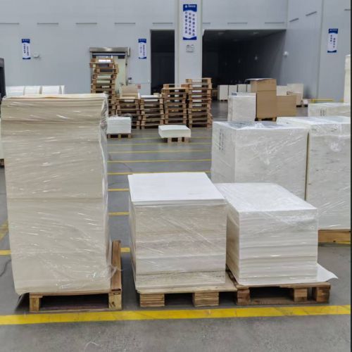 Custom Printing Various Designed White PE Paper Coated Cup Paper for Coffee Tea