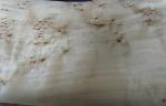 Flat Burled Wood Veneer Sliced Cut , Constructional Ash Burl Veneer