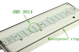 China IP65 Rechargeable Waterproof Emergency Light 3 Hours Operation factory