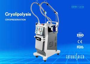 China Portable Frozen Cryolipolysis Slimming Machine For Spots / Wrinkles Removal factory