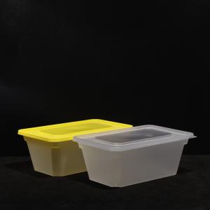 China PP Lunch Box for Hot and Cold Food (1000ml) Takeaway Box,Storage Box factory