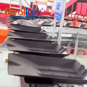 Flexible Automated Parcel Sorting System Automated Parcel Sorter High Speed For