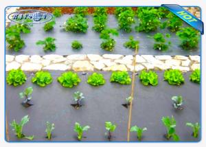 China Eco-Friendly 30gsm Black Color Agriculture Non Woven Cover For Vegetables on sale