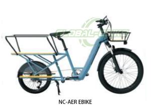 China 29 Inch Carbon Fiber Kenda 29*2.3/20*2.3 Tire PAS-60km Mileage Cargo Ebike factory