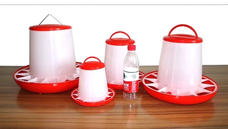 Hens Birds Plastic 1.5kg Poultry Feeder Drinker