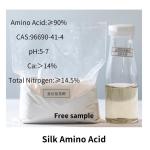 Silk Amino Acids Raw Material White Powder Silk Peptide for Hair Skin Care