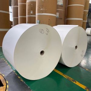 Customized Width PE Coated Paper Roll With Smooth Surface High Quality