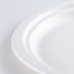 8.75 inch round white pulp biodegradable sugarcane party plates