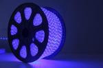 SMD led neon light with factory price