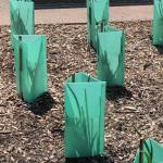 Waterproof 8mm 10mm Corrugated Plastic Tree Guard High UV Grade
