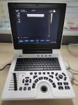 3D 4D Echography Portable USG Machine For Gynecology Eco
