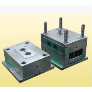 China Multi Specification Plastic Injection Tooling Plastic Egg Box Mould on sale