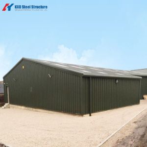 Professional Steel Shed / Storage / Steel Structure / Construction Building with