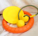 Dog Training Interactive Puppy Flyer Toy Cute Dog Flying Saucer