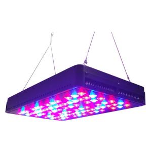 China 5w chip led grow light switchable,200w factory