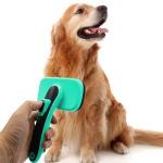 Wholesale Manufacture Nice Quality Cute Fashionable Pet Cleaning Grooming