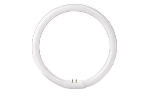 China 16mm T5 Circular Tube 40W 6400Lm Super Bright Interior Lighting factory