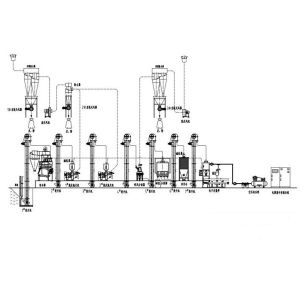 quinoa processing line, quinoa processing machines, quinoa saponin removing