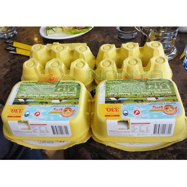 LPG 6000Pcs/H Egg Tray Making Machine 6 Person Operator