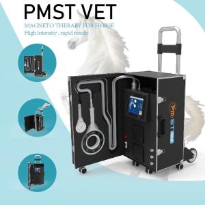 China Equine Magneto Therapy EMTT PEMF Physiotherapy Machine For Muscle Swelling And Inflammation factory