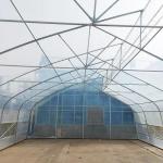 10ft Plastic Film Sawtooth Greenhouse Tunnel Tropical Top Ventilation Tomato