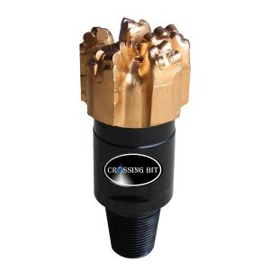 China API 5 Blades Polycrystalline Diamond Drill Bits PDC factory