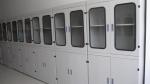 Exhaust Type All Lockable Chemical Storage Cabinets Cold Rolled Steel Sheet
