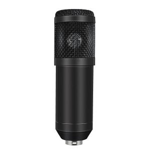 China ROHS All In One Double Screen 52mm Condenser Mics factory