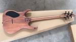 Bolt-on Mayones Duvell 6 or 7 strings Guitar Ebony Fretboard
